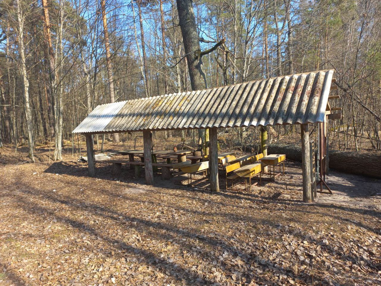 photo 5442734655624310851 y