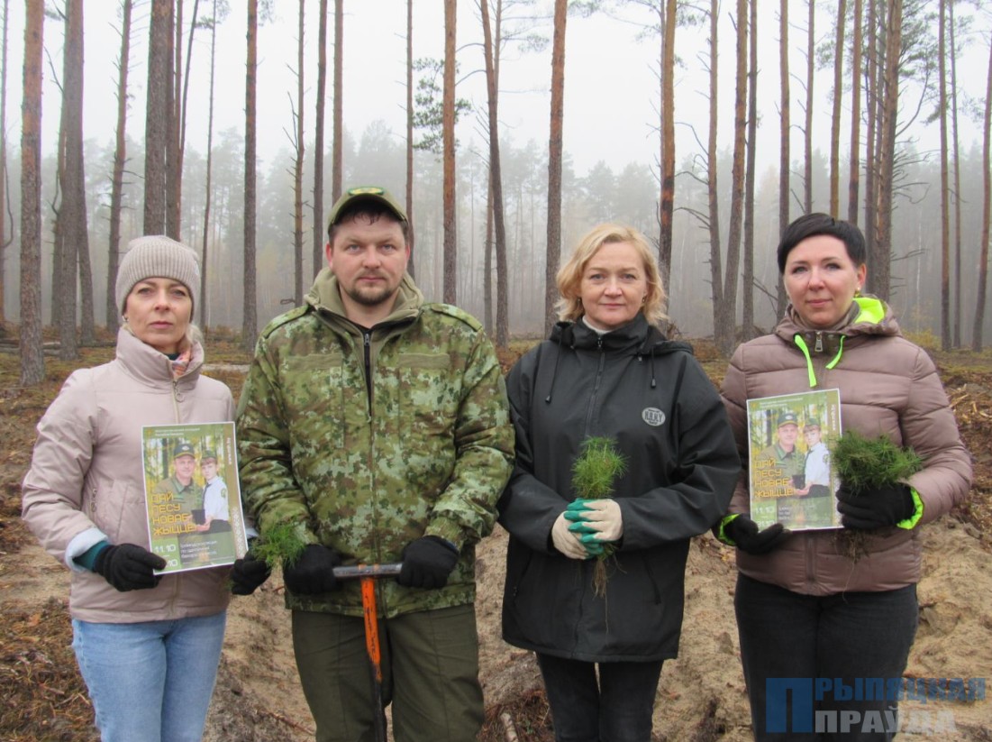 основа