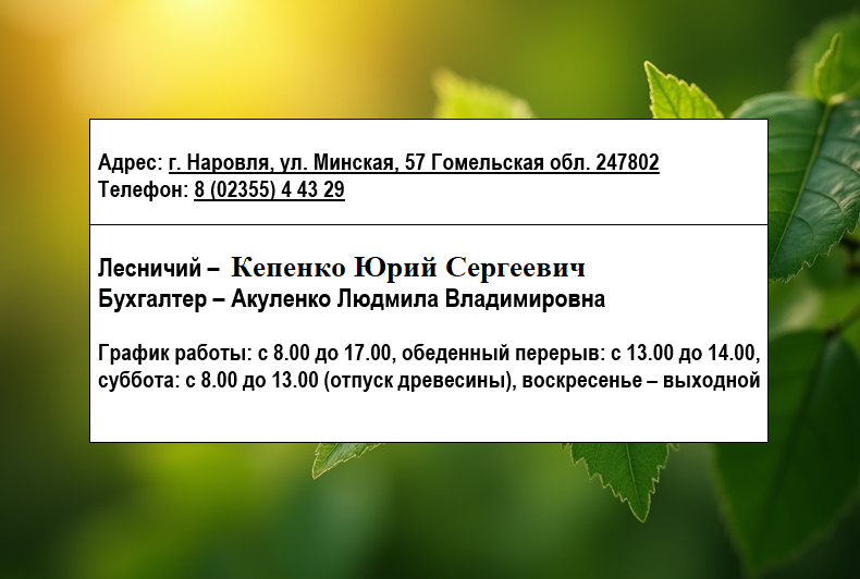 наровлянское 