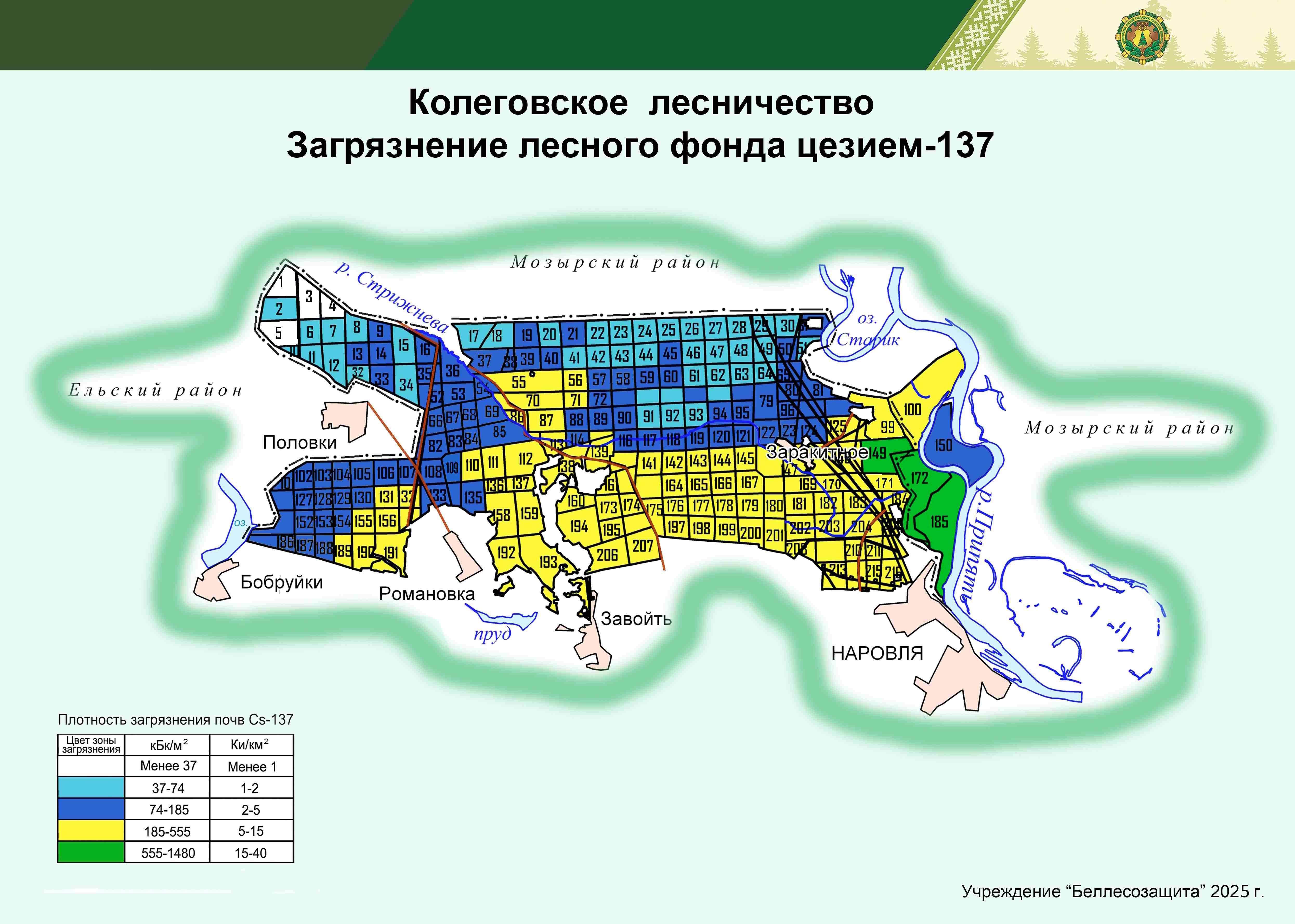 Колеговское лесничество 2025