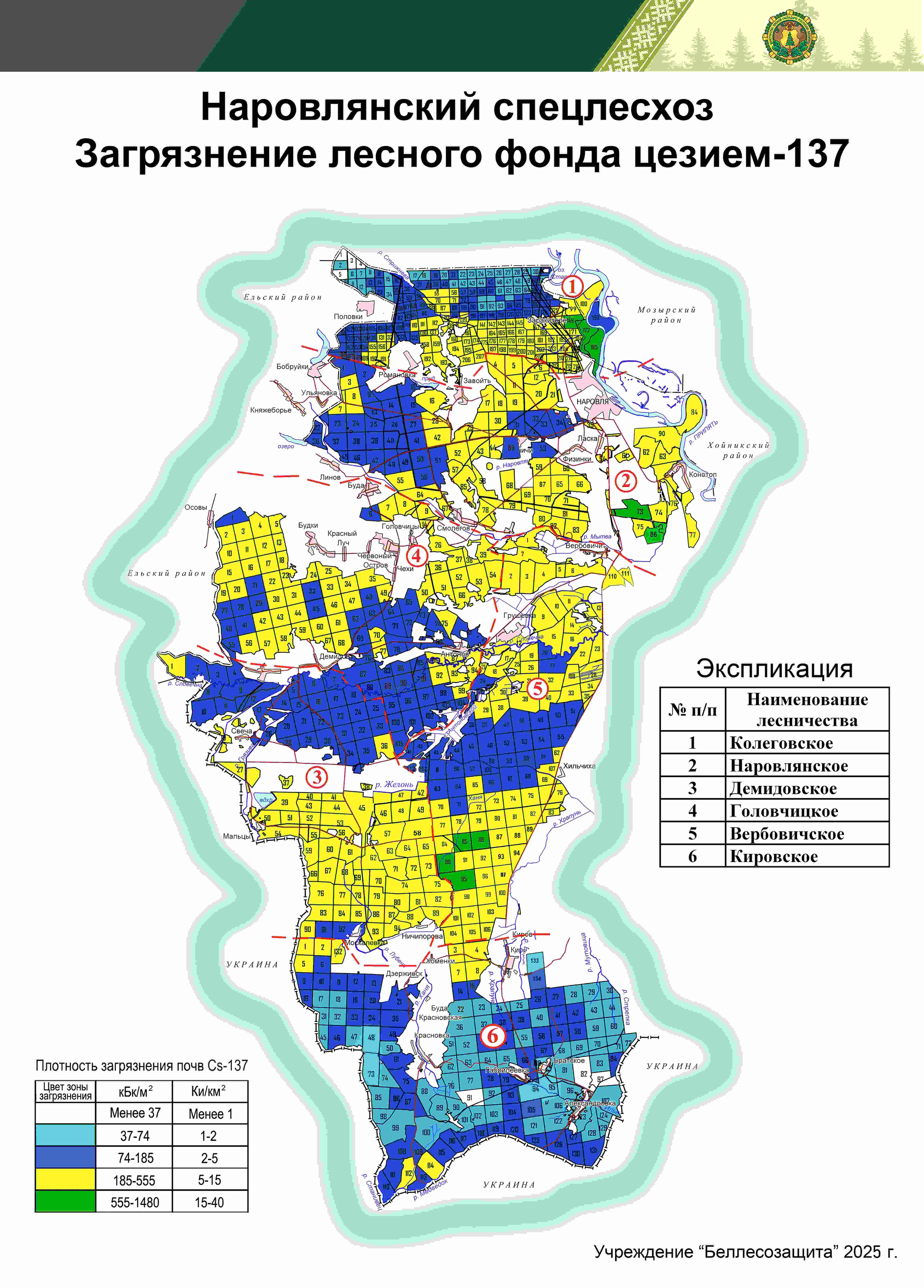 Наровлянский спецлесхоз. Обзорная 2025 копия